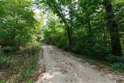 property photo for Springlake Plat 2 Tract 11, 0.19 acres for sale in Miller County, Missouri