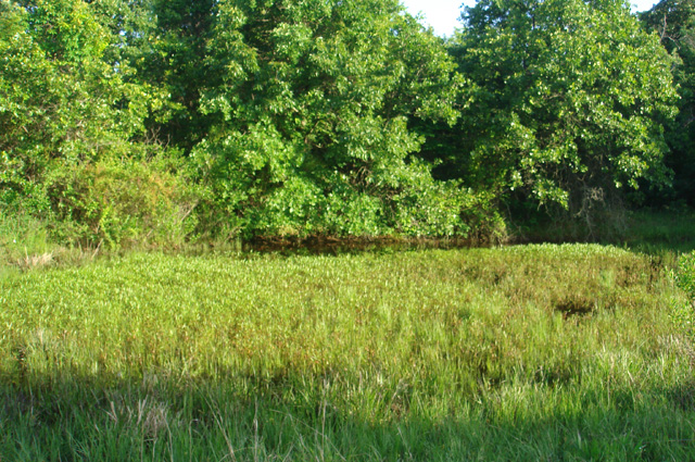 Tract 10 at Silver Moon Ranch in Okfuskee County, Oklahoma