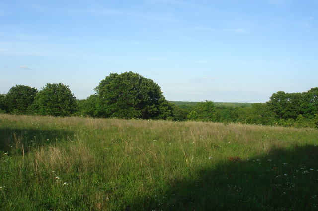 Tract 11 at Silver Moon Ranch in Okfuskee County, Oklahoma