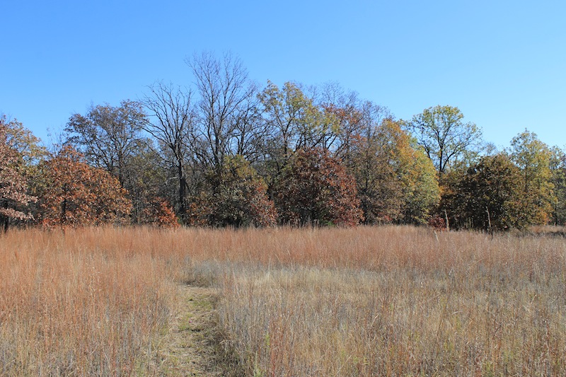Tract 16 at Silver Moon Ranch in Okfuskee County, Oklahoma