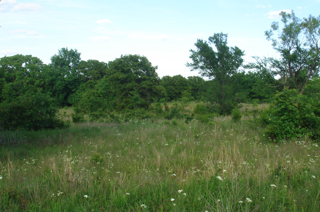 Tract 4 at Silver Moon Ranch in Okfuskee County, Oklahoma