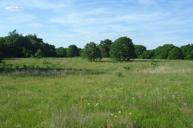 Tract 6 at Silver Moon Ranch in Okfuskee County, Oklahoma