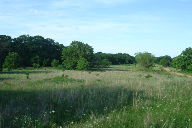Tract 7 at Silver Moon Ranch in Okfuskee County, Oklahoma