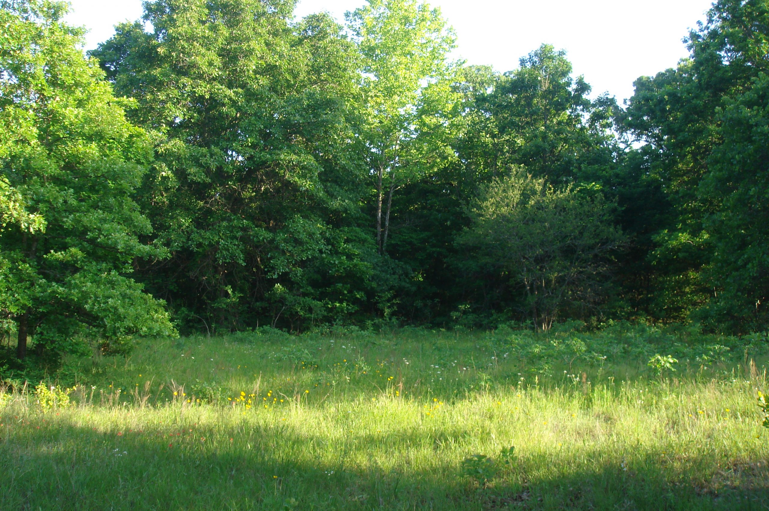 Tract 9 at Silver Moon Ranch in Okfuskee County, Oklahoma